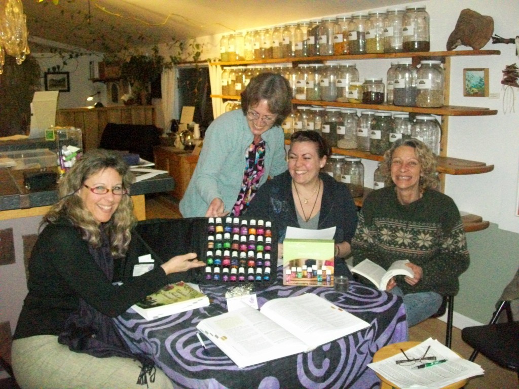 YLO workshop_Feb 17 2012_a